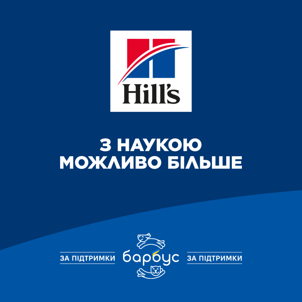 хілс запитання івдповіді