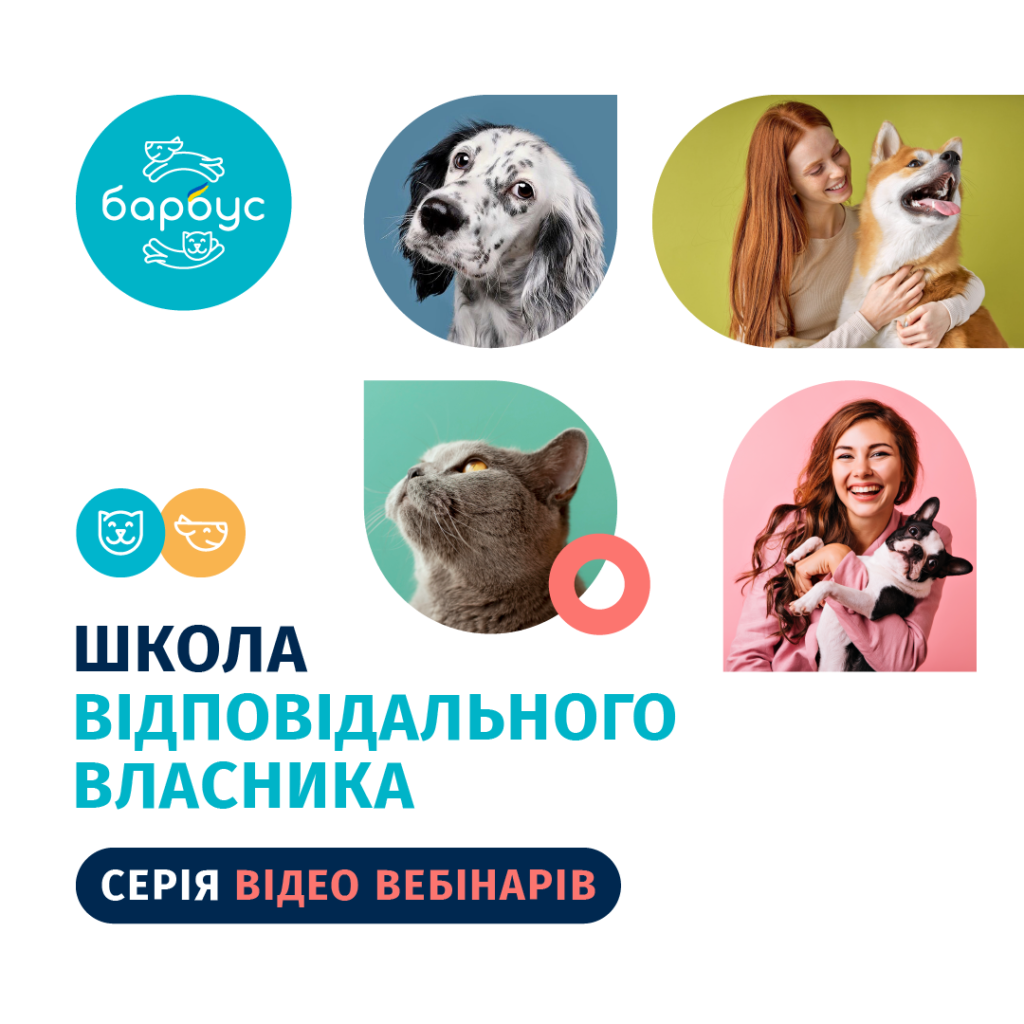 школа відповідального батьківства