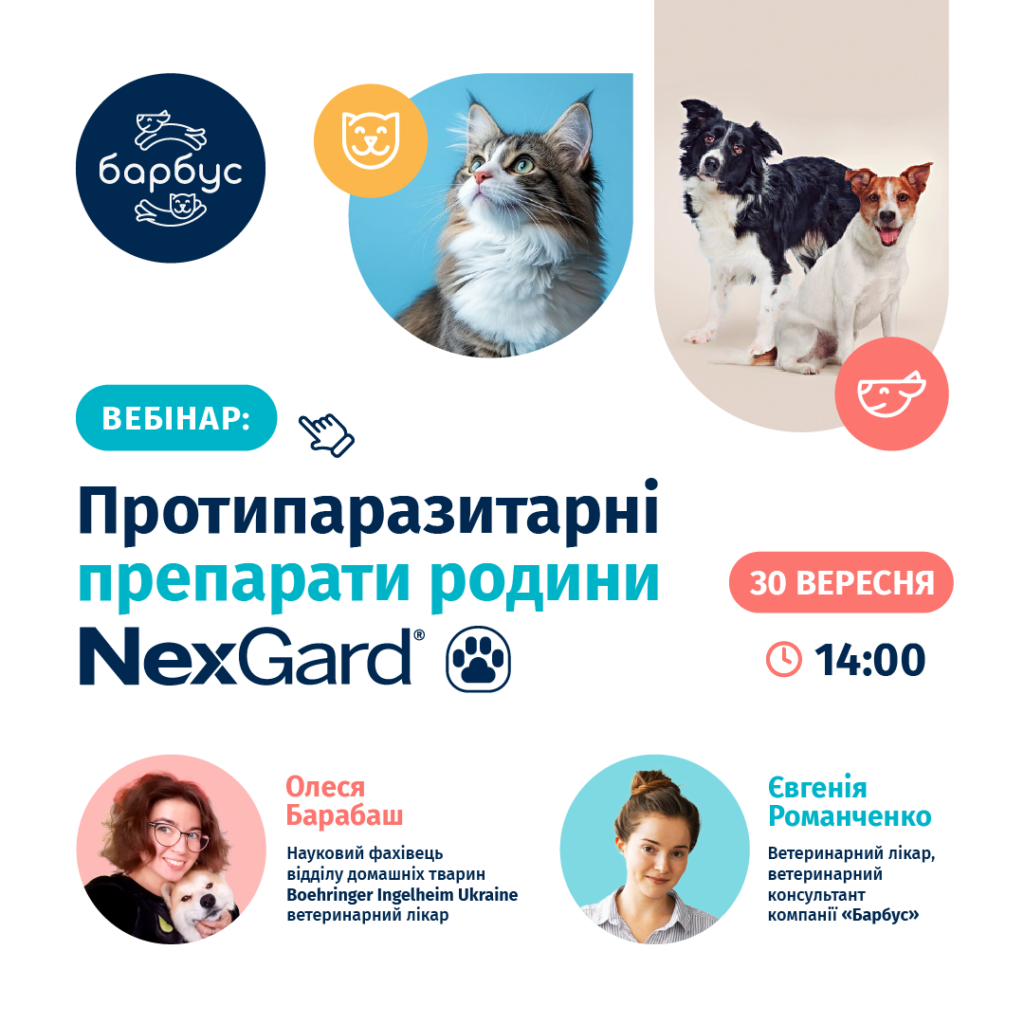 Протипаразитарні препарати родини НексГард 30.09.2025