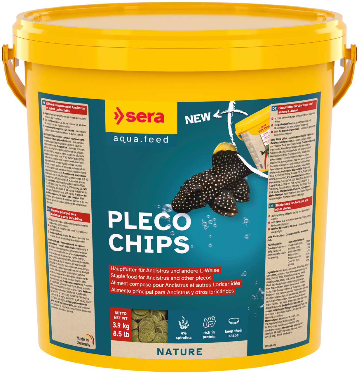 00517 pleco (Wels(Catfish)) 10 L