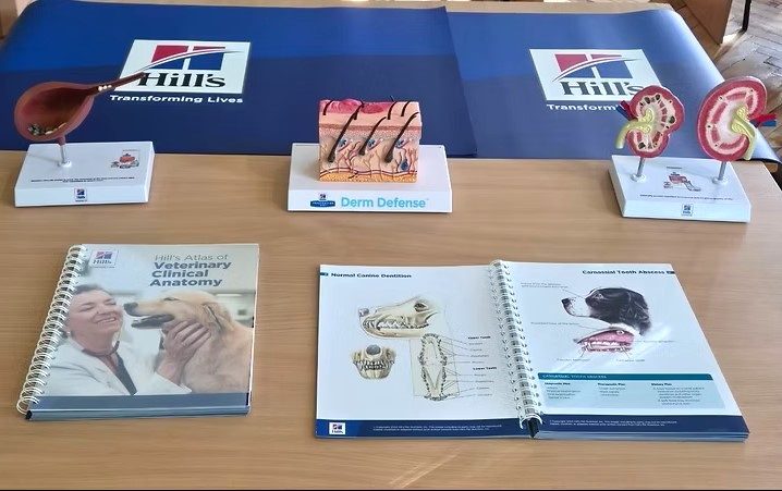 Розвиток ветеринарної освіти разом із Hill’s Pet Nutrition